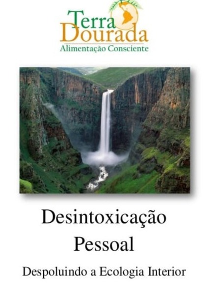 Imagem do Ebook Desintoxicação Pessoa